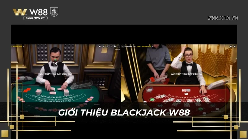 Giới thiệu khái quát bộ môn cá cược blackjack