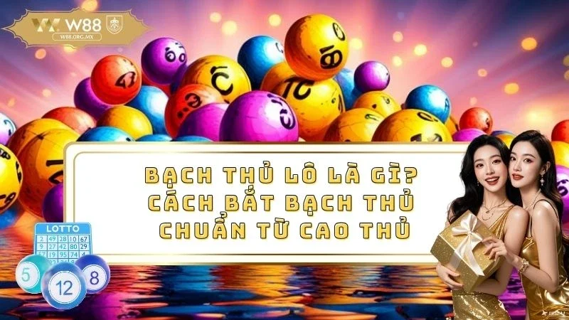 Bạch thủ lô là gì