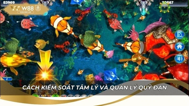 Kinh nghiệm kiểm soát tâm lý và quản lý quỹ đạn