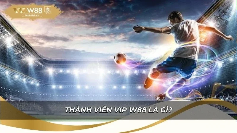 Cấp bậc và điều kiện xét duyệt tự động thành viên VIP